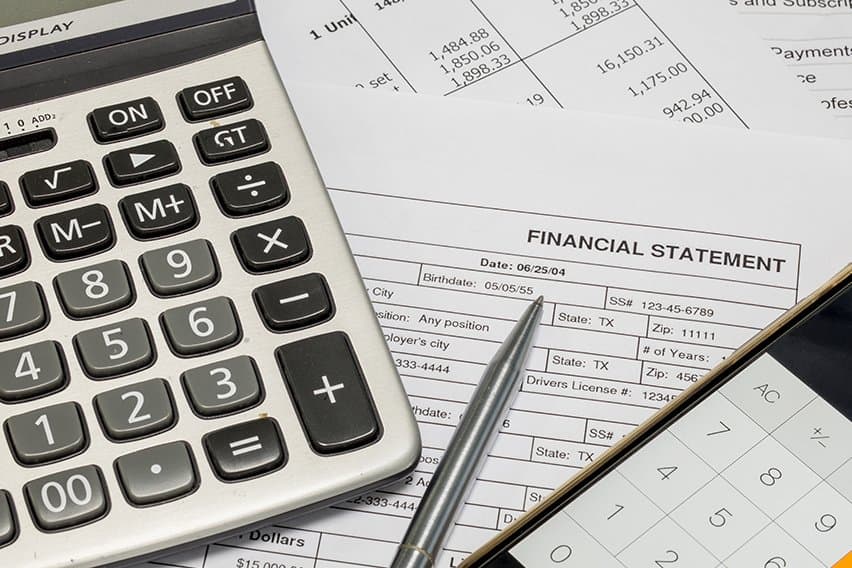 What are Pro Forma Financial Statements? image