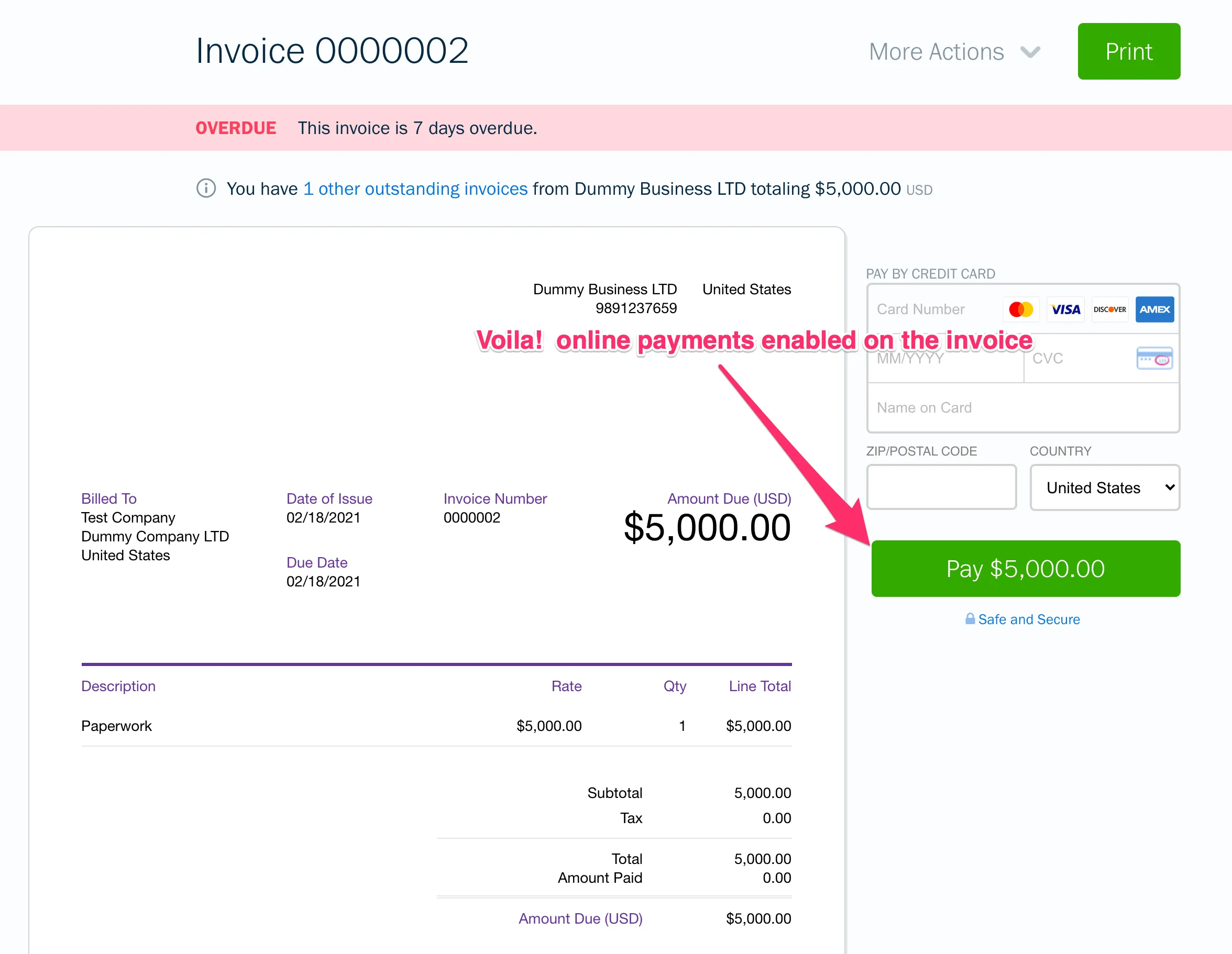 Online Payment Enabled Invoice