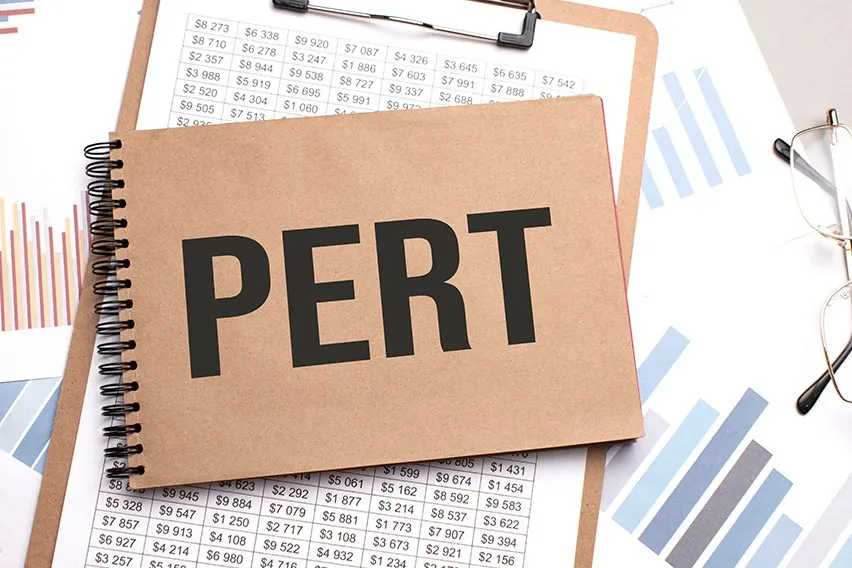 What Are PERT Chart Advantages and Disadvantages?