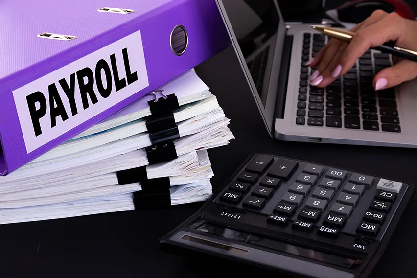 Payroll Ledger: How to Use & Create a Payroll Ledger